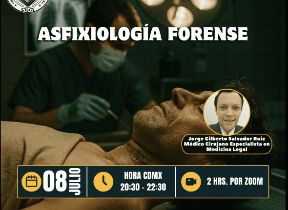 Captura de pantalla 2025-07-09 a las 12.51.02 a. m.